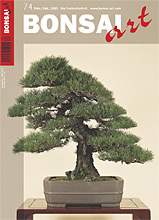 Bonsai Art