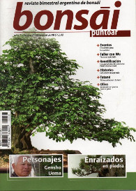 Bonsai puntoar, 12/2008
