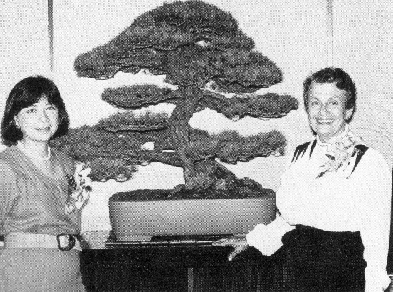 Donna S. Banting and Jean C. Smith, BCI Bonsai, November/December 1986, pg. 19