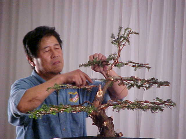 Kimura in Argentina, 111203, Photo courtesy of Alan Walker, 05/11/07
