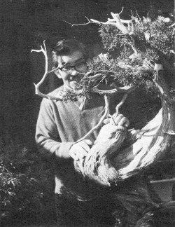 John Naka Juniper Bonsai May 1973 pg. 14
