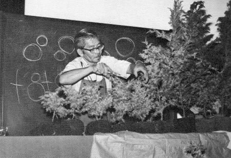 John Naka demo, International Bonsai Digest Bonsai Gems, 1974, pg. 89