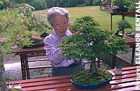 Ruth Strafford-Jones, Telegraph photo from 2001