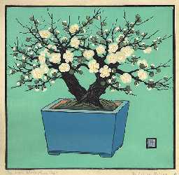 The Little White Plum Blossom Tree